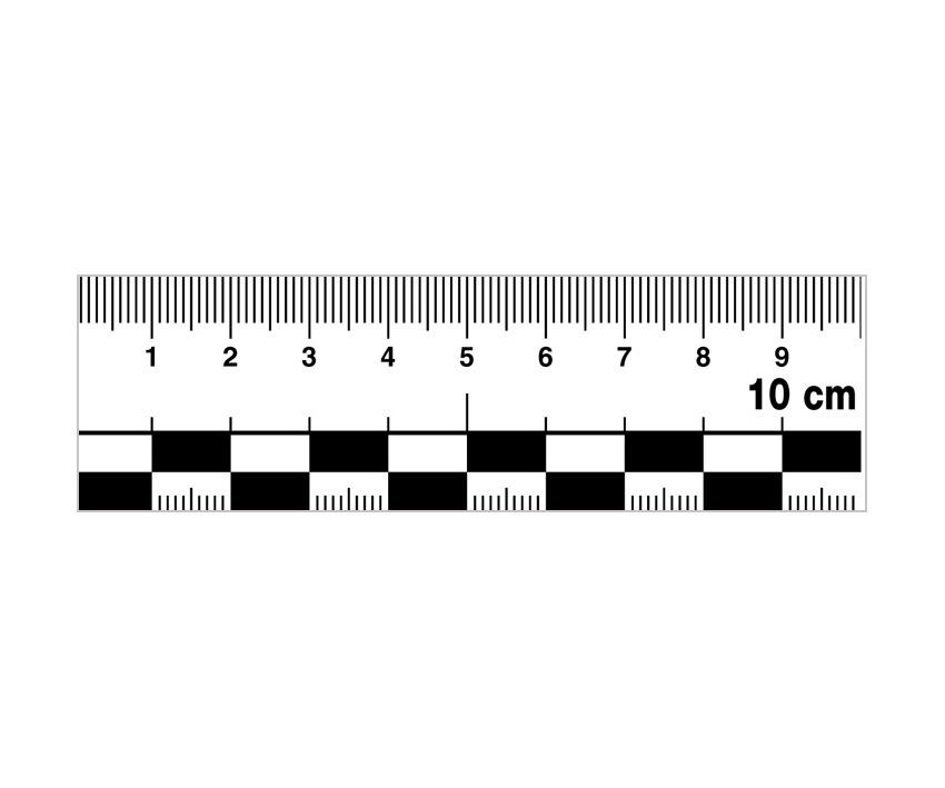 Haftlineal, Folie, 10 x 2,5cm (LxB)