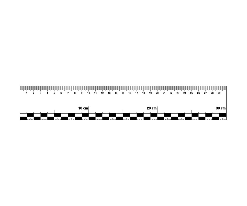 Haftlineal, Folie, 30 x 2,5cm (LxB)