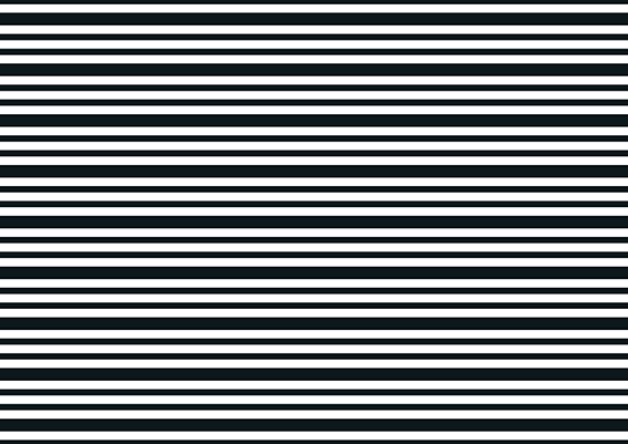 Dellenkarte  303 × 217 × 0,5mm (B×HxT), schwarz/weiß