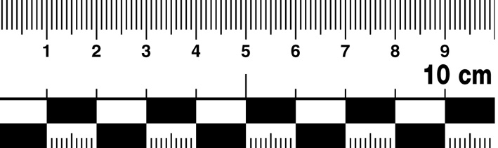 Messlineal, magnetisch, 10 x 3cm (LxB)