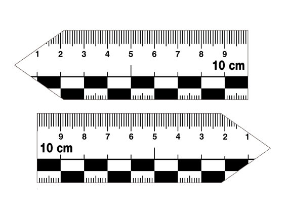 Zeigerlineal-Set, 10 cm, magnetisch, groß